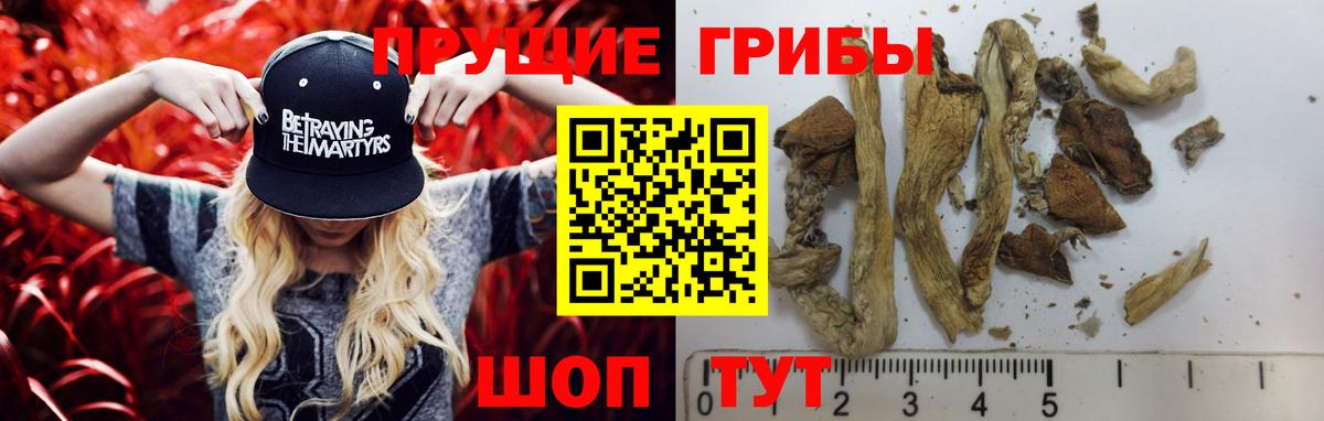 Галлюциногенные грибы MAGIC MUSHROOMS  Вход с VPN  Сибай  Псилоцибиновые грибы MAGIC MUSHROOMS 